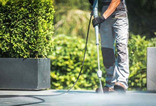 Best Roof Washing  in Independence, IA