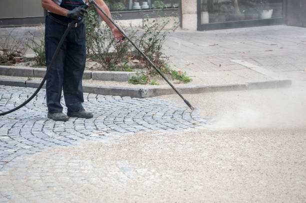 Best Gutter Cleaning  in Independence, IA